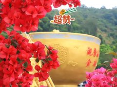 -东莞观音山旅游风景区