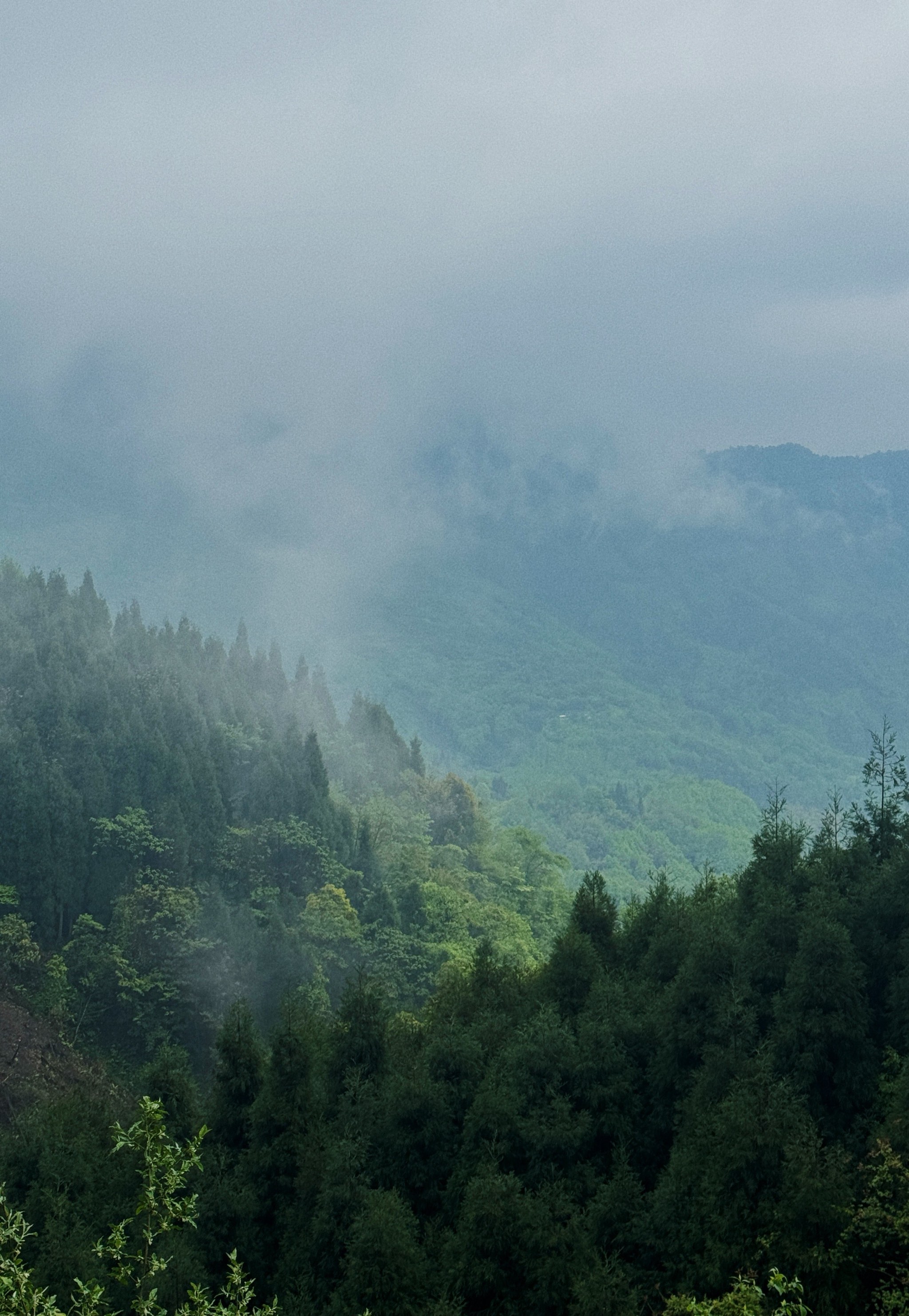 彭州小天台山位置图片