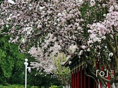 -元大都城垣遗址公园