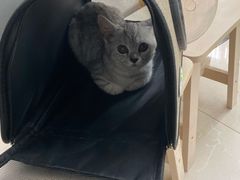 -爱侣宠医·鹦鹉专科·小型哺乳类·异宠专科(灵石路店)