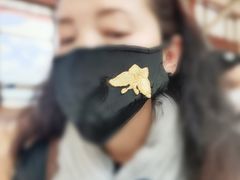 -丽江三义国际机场