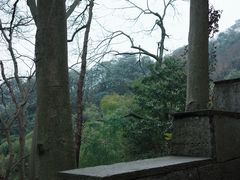 -韬光茶庵