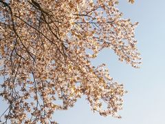 -大雁塔文化休闲景区-北广场