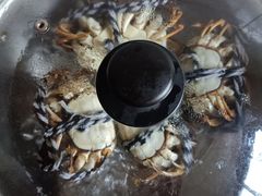-阳澄湖大闸蟹·琼灵阁牌品牌连锁(吴中总店)