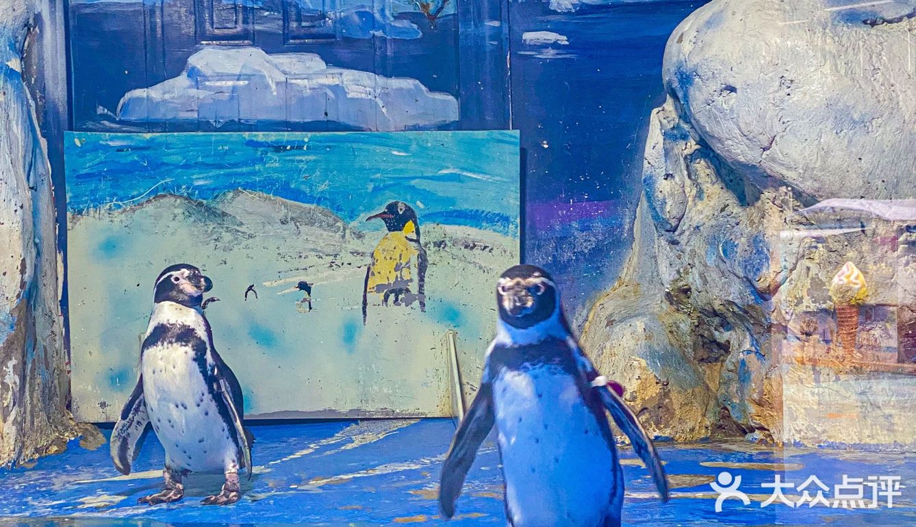🐬逛浪漫海洋公园，看梦幻飞天游✨