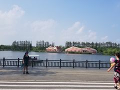 -上海长兴岛郊野公园