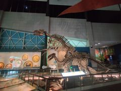 -湖南省地质博物馆