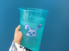 -东方绿舟景区