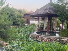 -观唐（国际）度假村温泉