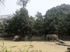-成都动物园