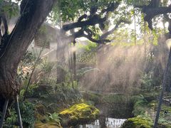 -Chom Cafe and Restaurant