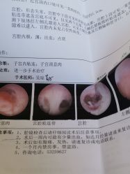 -上海艾儿贝佳妇产科医院