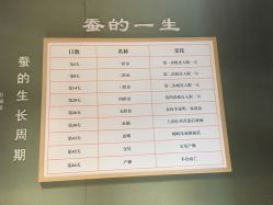 -太湖雪蚕桑文化园