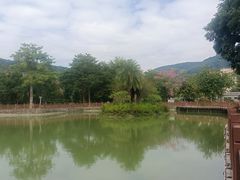 -广州市帽峰山景区