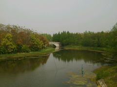 -上海海湾国家森林公园