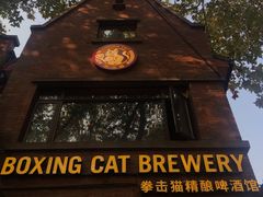 -Boxing Cat Brewery拳击猫精酿啤酒馆(永福店)