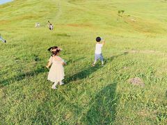 -恋山坝上草原
