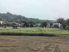 -红山村