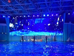 -海合安青岛极地海洋公园