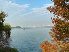 -西湖外事游船(花港观鱼码头)