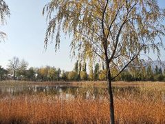 -乌素图国家森林公园