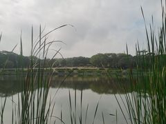 -东莞植物园