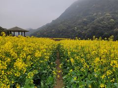 -广州市石门国家森林公园
