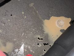 -曹杨影城(曹杨店)