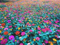 -武汉理工大学（南湖新校区）-图书馆