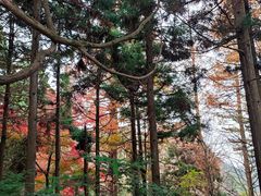 -庐山风景区花径公园