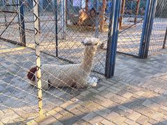 -长白岛森林公园