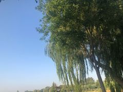 -盛世南宫影视城(北普陀影视城)