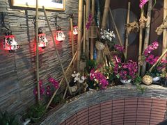 -拉面莊夢語＆中华料理八椿
