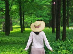 -龙川湾千岛湖国际垂钓中心