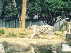 -常州淹城野生动物世界