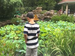 -新湖明珠城