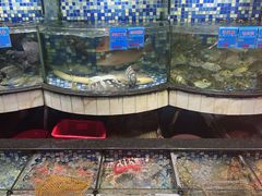 -揭阳钟记小食(福田新村店)