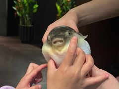 -肆月河豚·淮扬菜·湘菜(华天店)