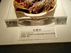 -青藏高原自然博物馆