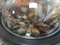 -睿柏云酒店-餐厅