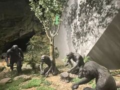 -北京周口店北京人遗址博物馆