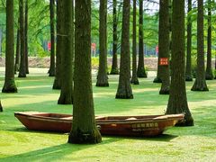 -渌洋湖湿地公园