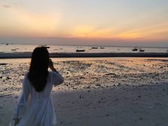 -贝壳沙滩