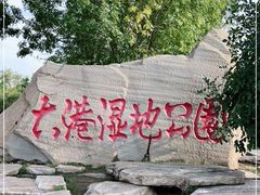 -大港湿地公园