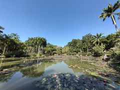 -中国科学院西双版纳热带植物园