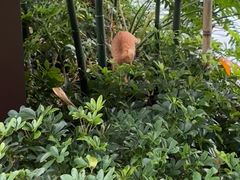 -晓港公园