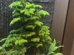 -耳妃躺式采耳SPA馆