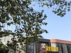 -刘胖子家常菜·蹄花焖藕(中央花园店)