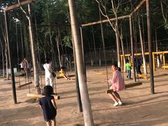 -草根堂农场