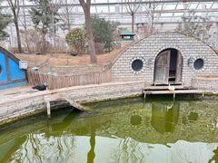 -南宫五洲植物乐园